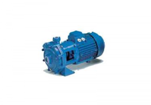 Máy bơm nước Vertix VK 750RT nhập khẩu